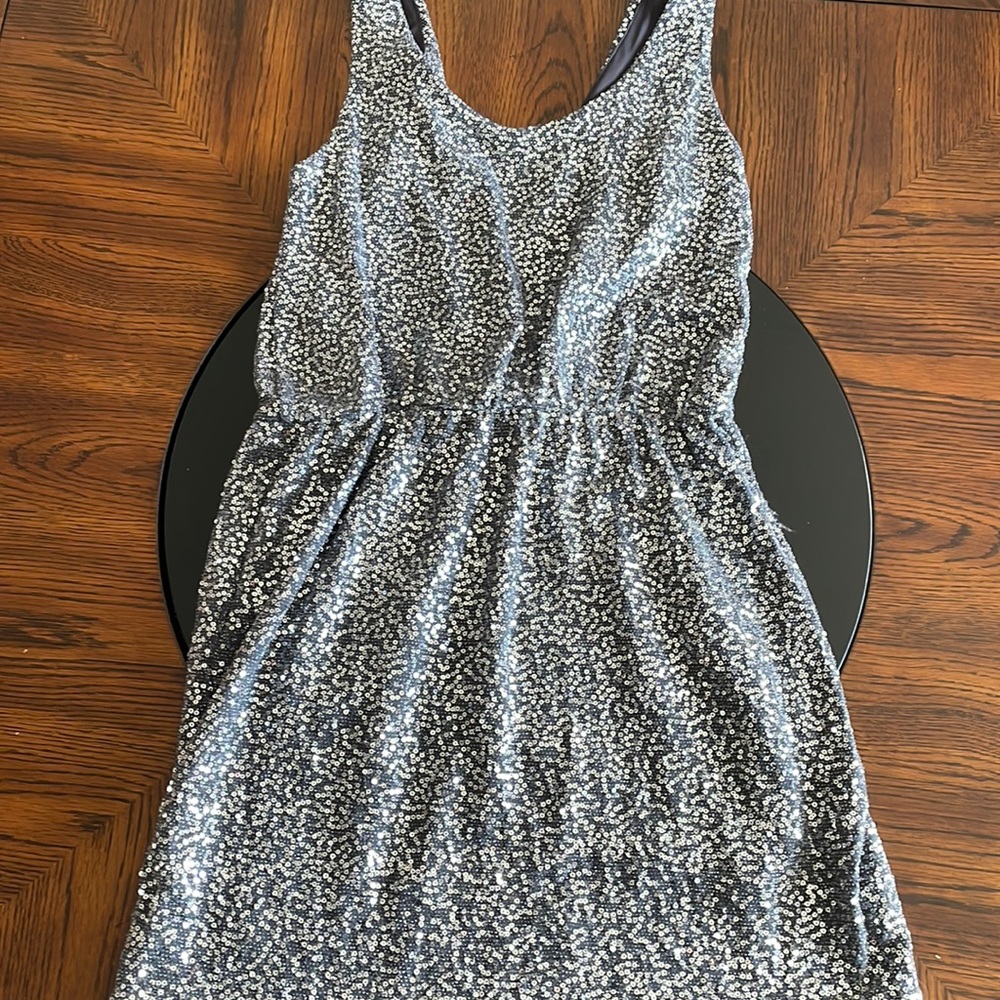 Silver Sequined Dress